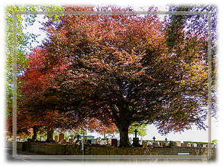 Segelschiff und Leichturm
